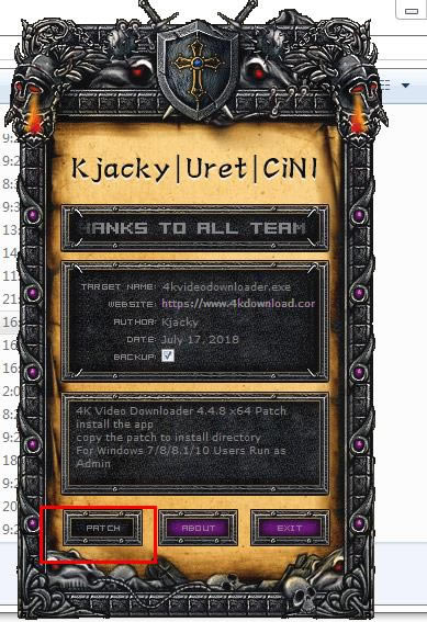 4K VIDEO DOWNLOADERر̳̲ͼ2