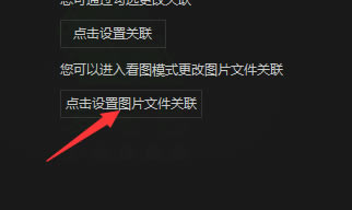 爱奇艺万能播放器怎么不关联电脑图片