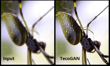 TecoGANر桿TecoGAN(Ƶȥ) v1.0.0 ر