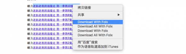 【Folx下载】Folx下载安装 v5.20.13943 苹果版