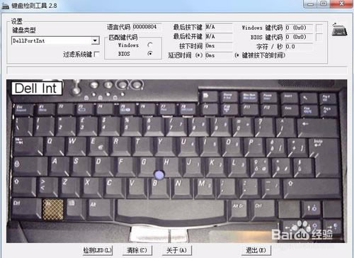 ���̲���������ɫ��