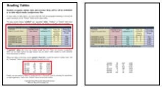 Readiris Pro特别版怎么转为表格