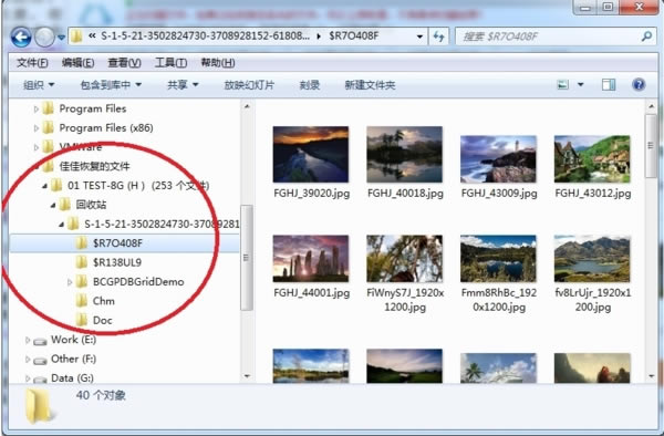 【佳佳数据恢复专业版下载】佳佳数据恢复特别版 v2020 免费版-开心电玩