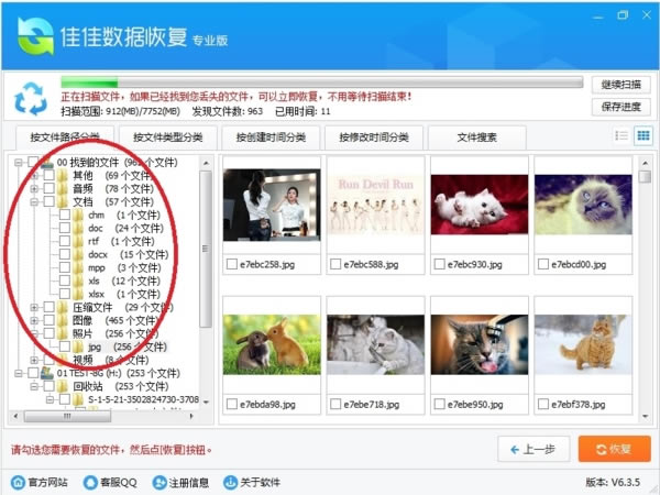 【佳佳数据恢复专业版下载】佳佳数据恢复特别版 v2020 免费版-开心电玩