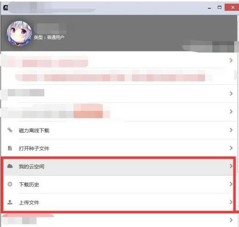 黑科下载器会员特别版怎么使用
