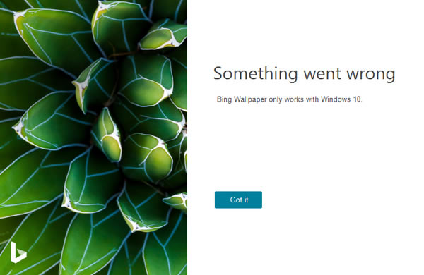 ӦֽءBing Wallpaper(Ӧֽ) v1.0.7.2 ٷʽ