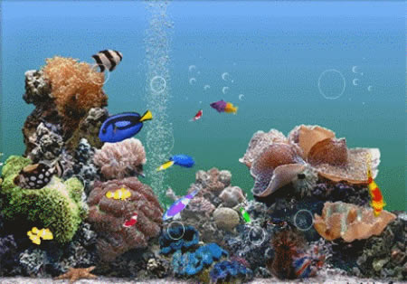 【海底世界动态屏保下载】3D海底世界动态屏保 v3.22 官方最新版