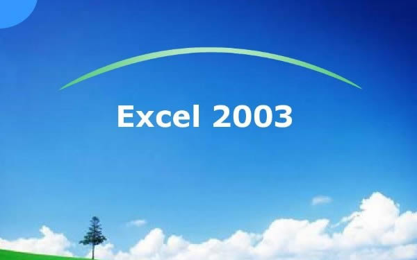 Microsoft Office Excel 2003