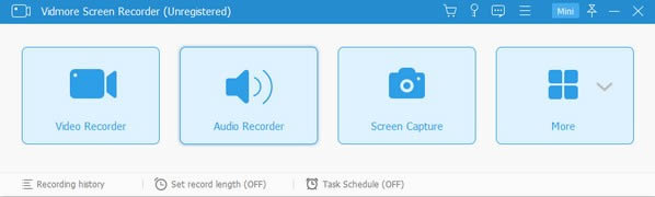 Vidmore Screen Recorder(¼)