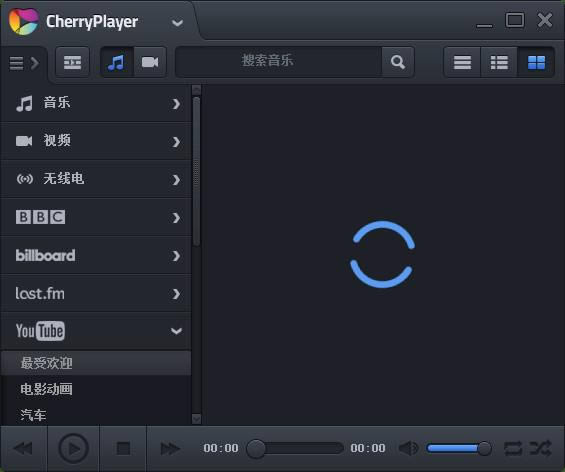 CherryPlayer-ӣҲ-CherryPlayer v3.1.1ɫ