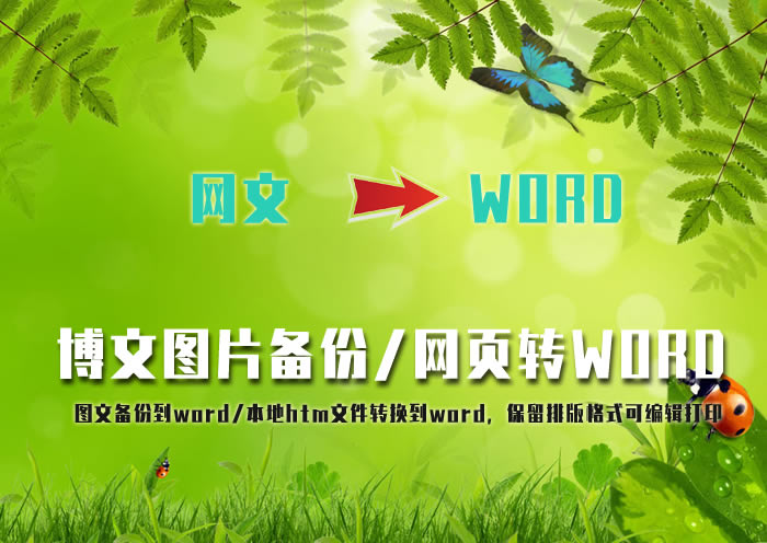 网文备份工具网页转word软件-网页转word工具-网文备份工具网页转word软件下载 v1.3官方版